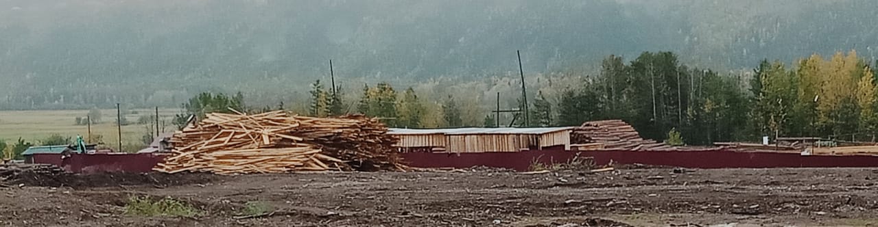 В Якутии отходы деревообработки прячут в лесу