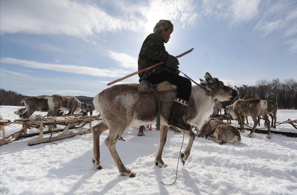 В Якутии хотят судить эвенка за охоту, без которой он жить не может