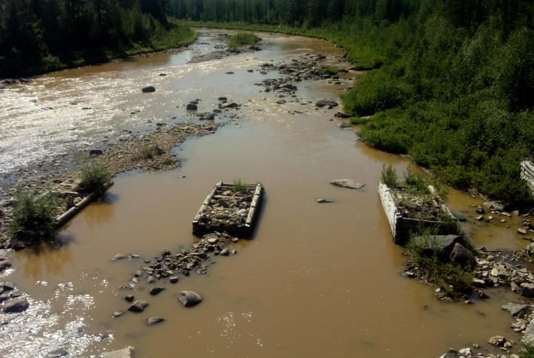 В Якутии китайские золотодобытчики отравили реку. Видео