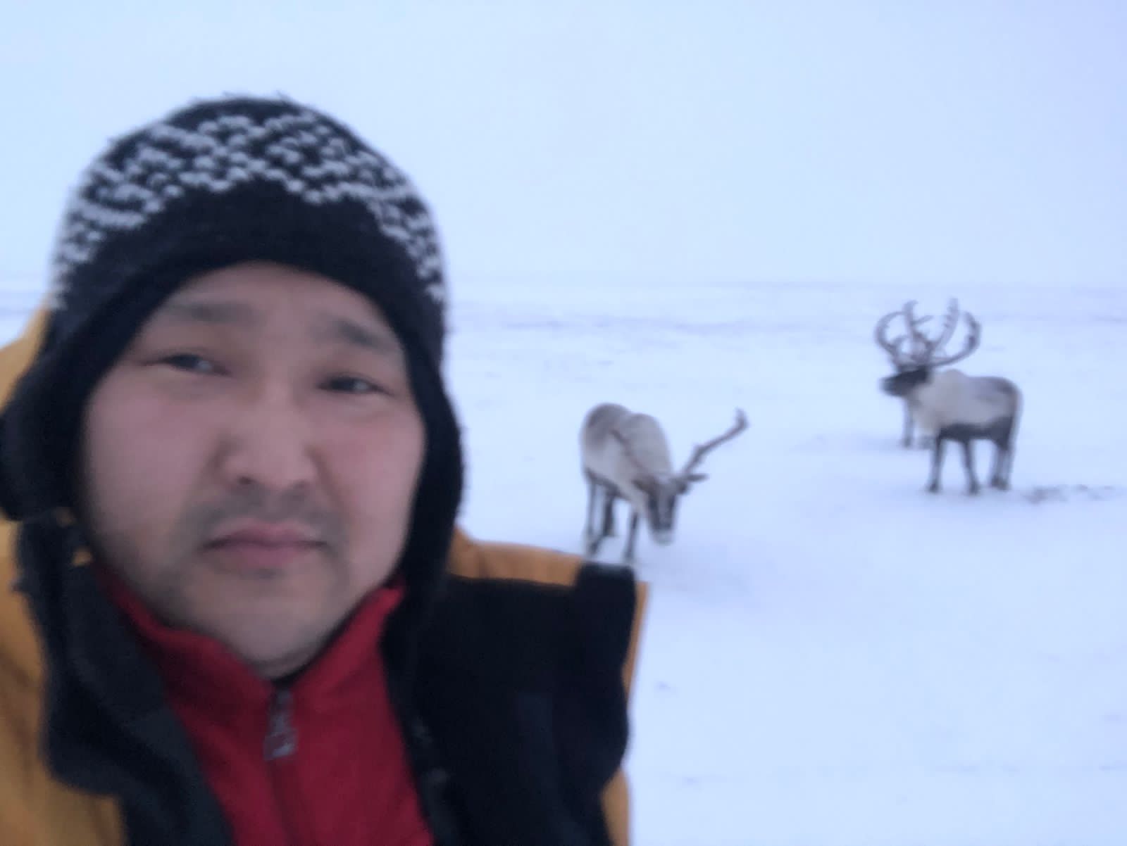 Оленеводческое предприятие «Арктика» увеличило зарплату труженикам тундры