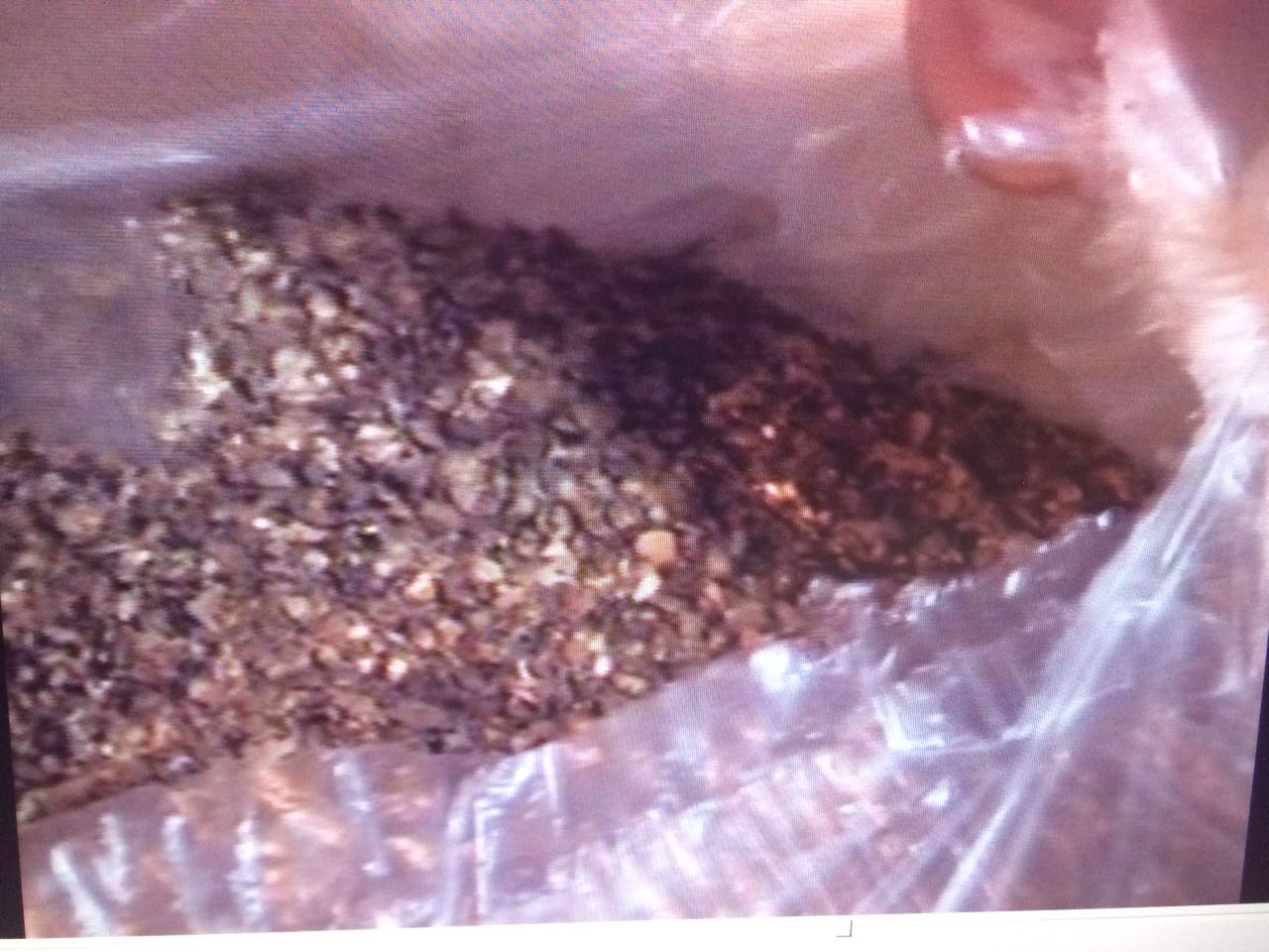 12 лет в бегах. В Ингушетии нашли торговца якутским золотом